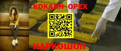 гидропоника Будённовск