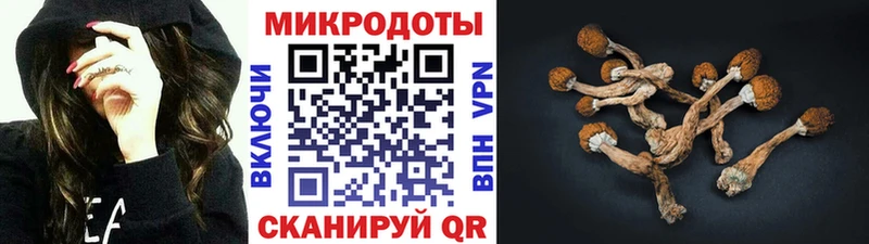 где купить наркоту  Чайковский  Псилоцибиновые грибы GOLDEN TEACHER 