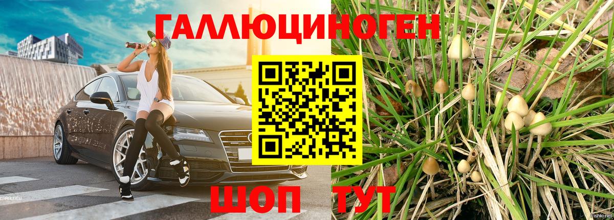 купить наркотики сайты  Чайковский  Псилоцибиновые грибы прущие грибы 