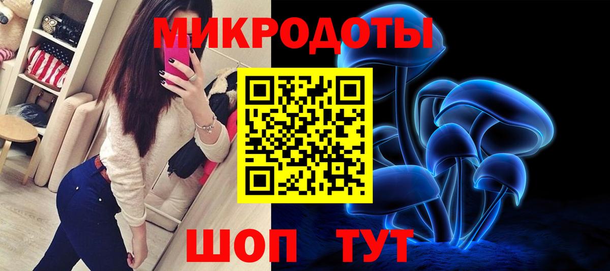 Псилоцибиновые грибы Cubensis Чайковский