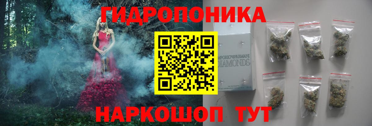 Конопля планчик Чайковский